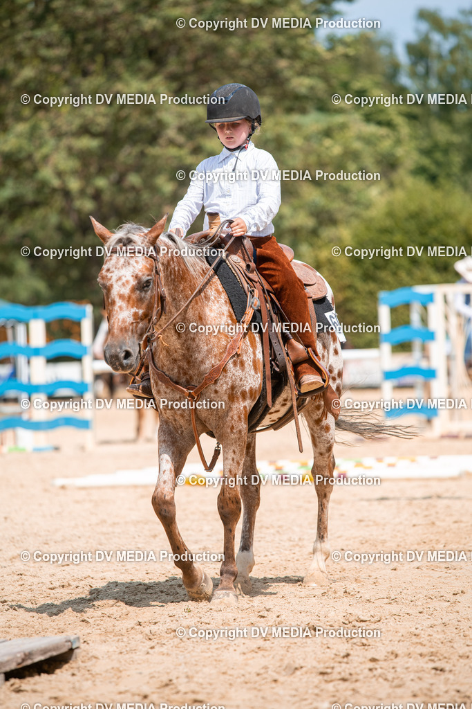 ZS2_8207 | dv-media-shop - Realisiert mit Pictrs.com