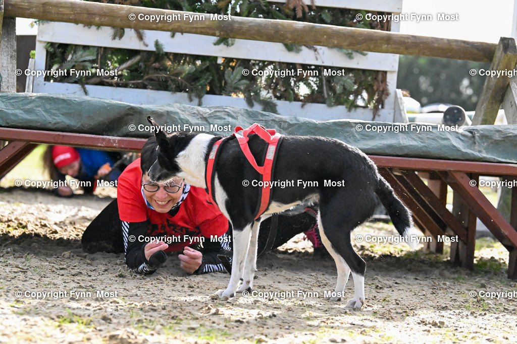DSC_6294 | Hallo und herzlich Willkommen auf meiner Shop-Seite Fynn Most.

Ich wünsche Dir viel Spaß beim stöbern durch die Bilder, wenn Du Fragen hast oder Bilder vermisst, kannst du mir gerne eine Nachricht schreiben. - Realisiert mit Pictrs.com