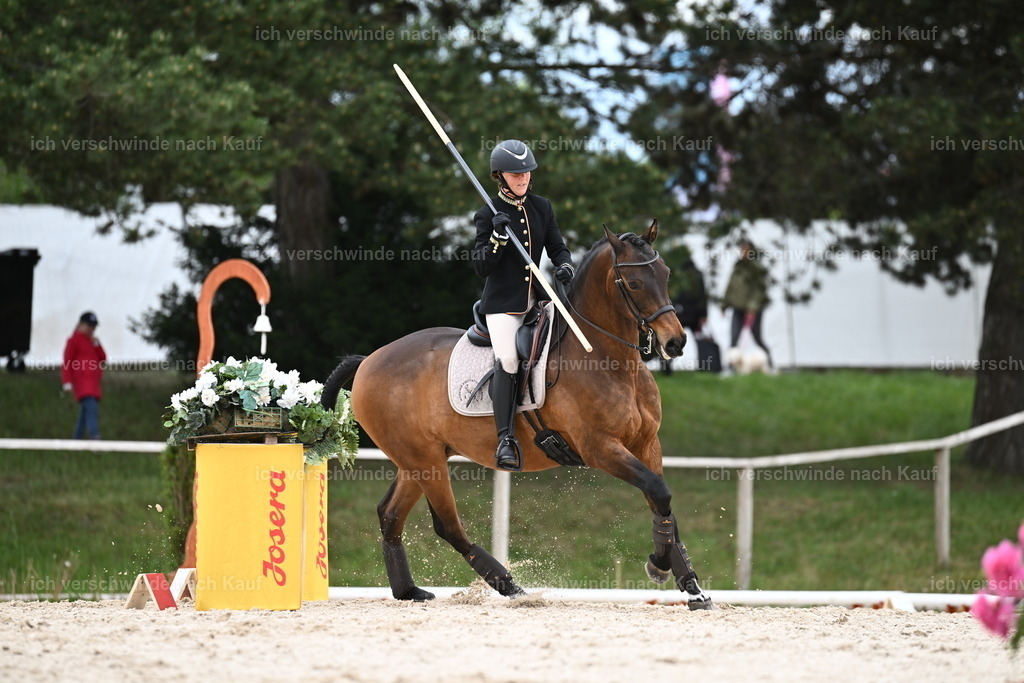 PI26_ST_Sara_Landvogt226_2793.JPG | working equitationturnier fotograf videograf stoibphotography marixx film working equitation deutschland reitsport turnierfotografie eventfotografie equestrian events