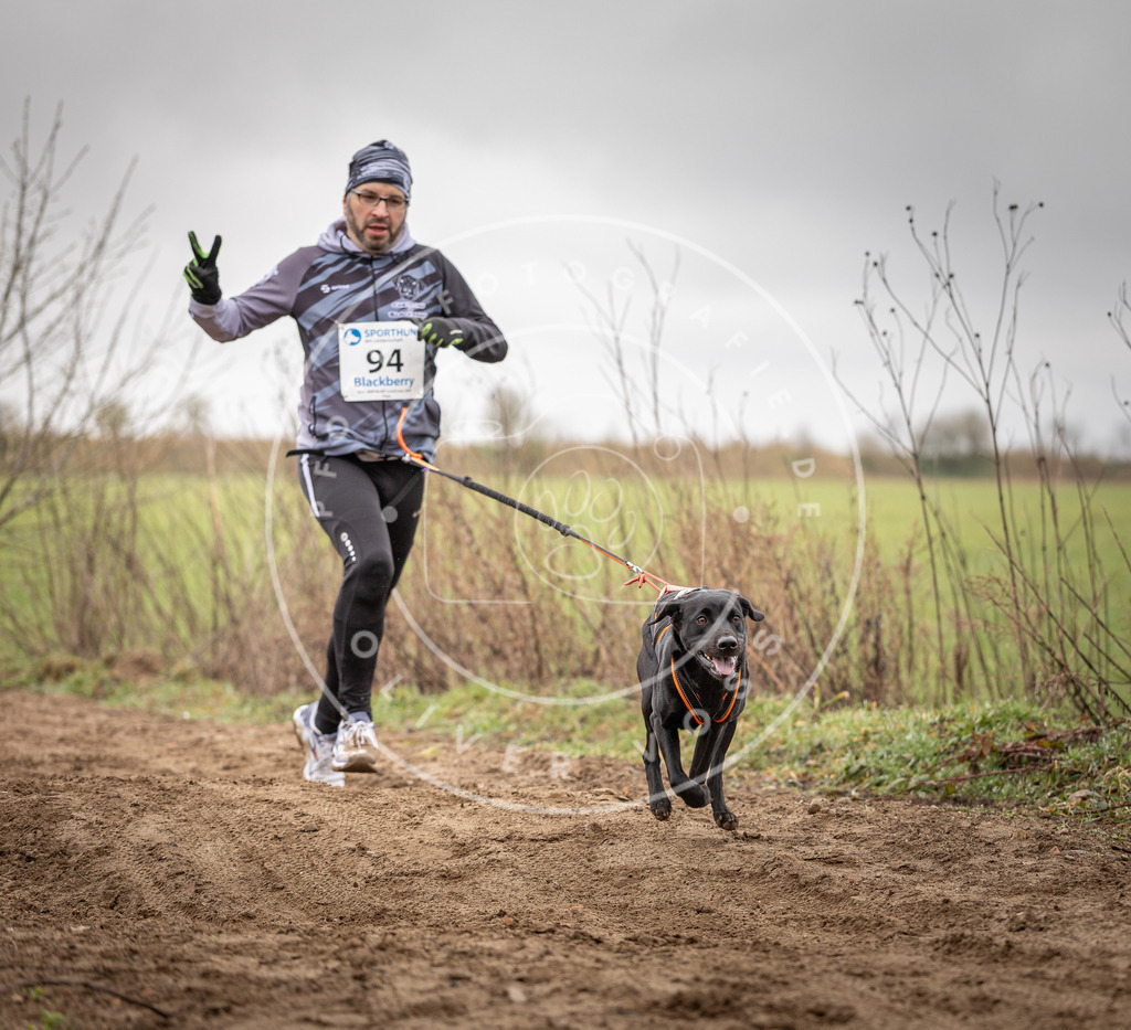 DV3A0065 | Hundefotografie, Tierfotograf, Pfotenfotografie, Fotoshooting Hund, Hunde Portrait, Hundesport, Hundeportraits, Heideshooting, Hunde, Sportfotograf, Hundefotograf, Turnierhundsport, THS,  - Realisiert mit Pictrs.com