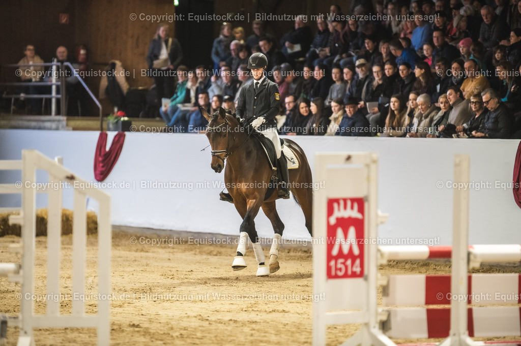 20240302_Hengstvorstellung_Marbach_TOMsPiC_0136-2 | equistock