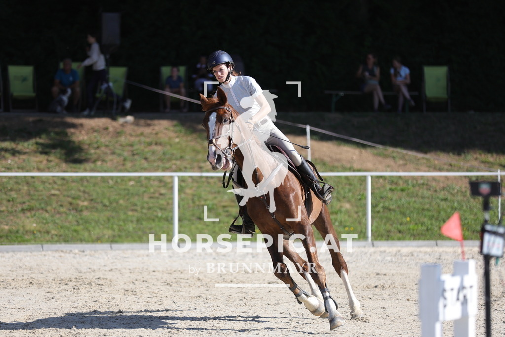 0P6A5058 | Willkommen bei Brunnmayr - Design & Fotografie – Ihrem Spezialisten für Reitturniere und Pferdeveranstaltungen in Oberösterreich, Salzburg und Bayern! Seit über 17 Jahren sind wir leidenschaftlich dabei.