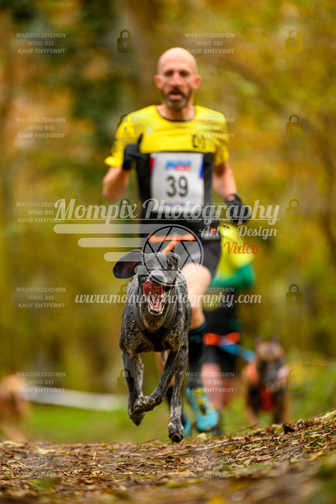 MompixPhotography_Bischwiller24_SA_Canicross-11 | PayLife