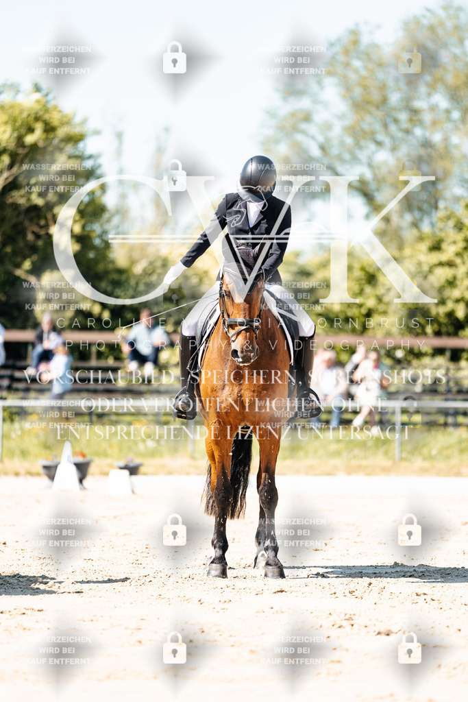 CK905250 | Turnierfotografie Pferdefotografie Trier Rheinland-Pfalz Pferdesport Reitsport Tierfotografie Sportfotografie Pferdevideo Pferdevideografie Equestrianvideography equestrianphotography  - Realisiert mit Pictrs.com