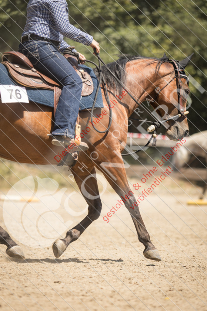 IMG_9721 | Sport-, Event- und Tierfotos in Profiqualität. Einfach auswählen, bestellen und herunterladen. Dein Moment – perfekt festgehalten.