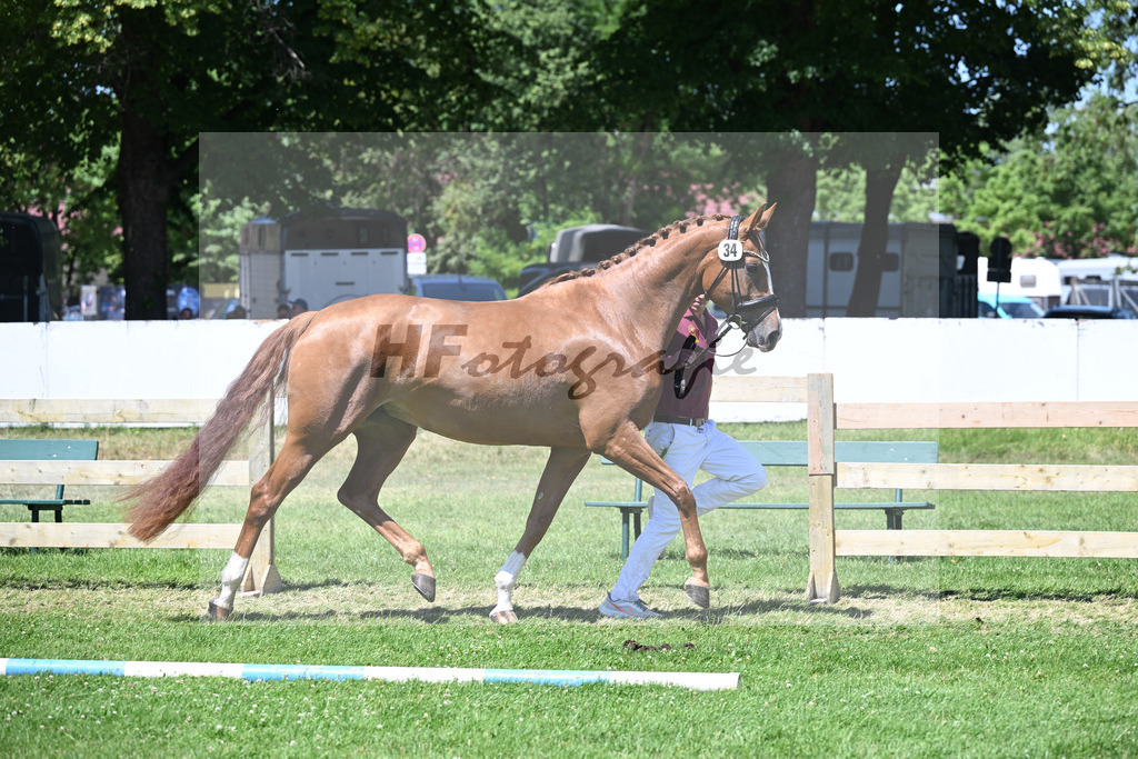 Kat-Nr. 34 Dear Zoey M v. F-D avie_Mennel_19250692 | hf-fotografie - Realisiert mit Pictrs.com