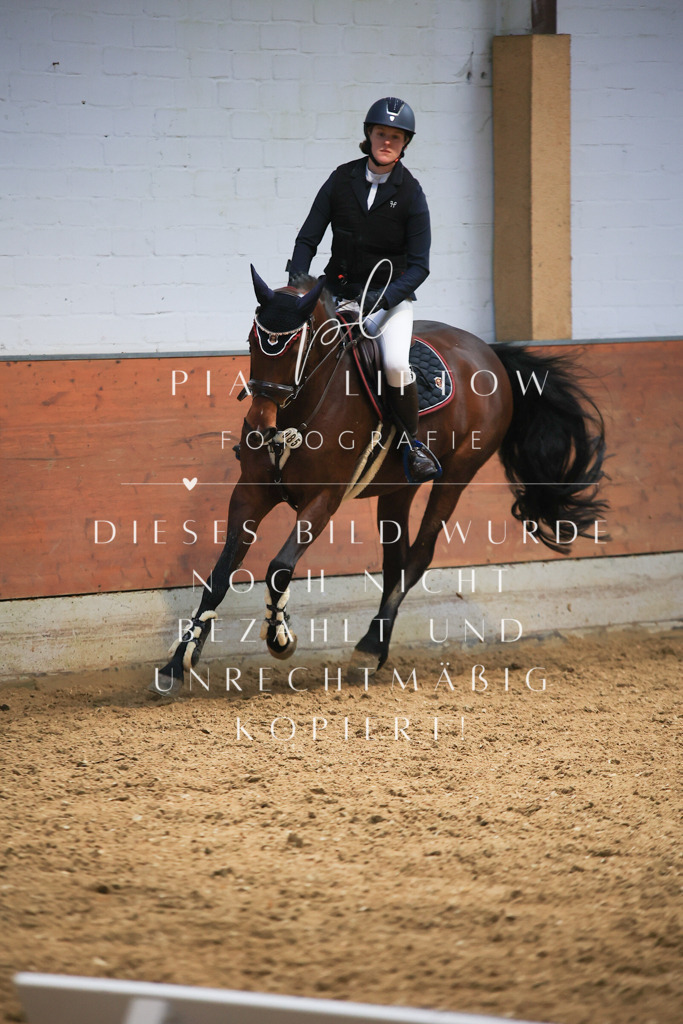 IMGT1933 | pl-fotografie