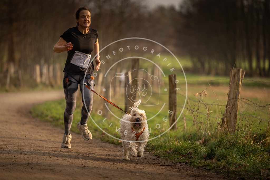 Pfotenfotografie_DV3A5585 | Hundefotografie, Tierfotograf, Pfotenfotografie, Fotoshooting Hund, Hunde Portrait, Hundesport, Hundeportraits, Heideshooting, Hunde, Sportfotograf, Hundefotograf, Turnierhundsport, THS,  - Realisiert mit Pictrs.com