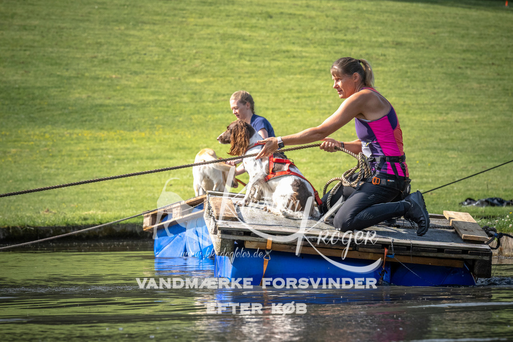 0831_ZZ99391 | kk-dogfotos