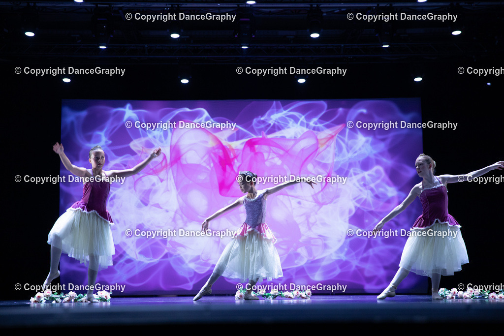 GPHY4810 | DanceGraphy - Realisiert mit Pictrs.com