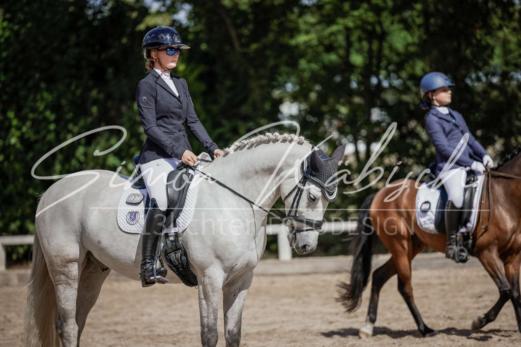 20250906-_3LI5612 | Tierfotografie Pferde, Hunde, Katzen, Haustiere.
Turnierfotografie Reitturniere, Reiten, Springreiten, Dressur in Hanau, dem Main-Kinzig-Kreis und dem Rhein-Main- Gebiet um Frankfurt