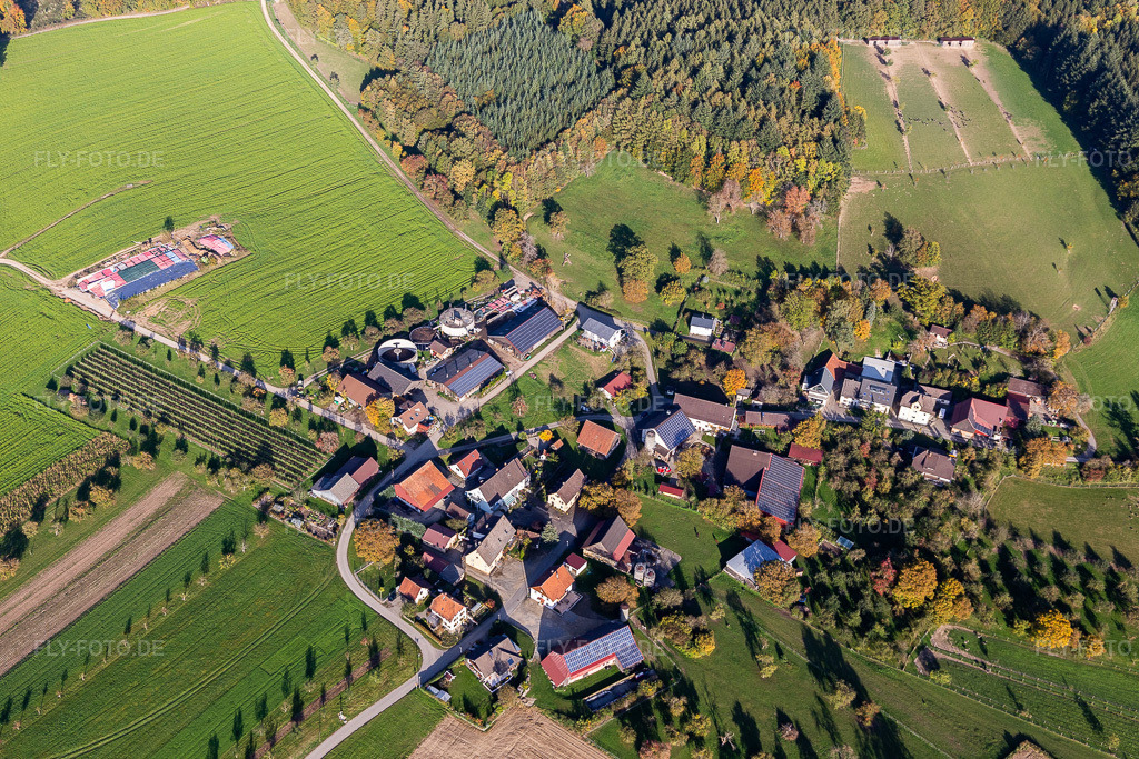 Luftbild: Straussenfarm Hegau-Bodensee in Stockach im Bundesland Baden-Württemberg in Deutschland. Foto: IMG_119421.jpg vom 14.10.2019 durch Werner Riehm/FLY-FOTO.de