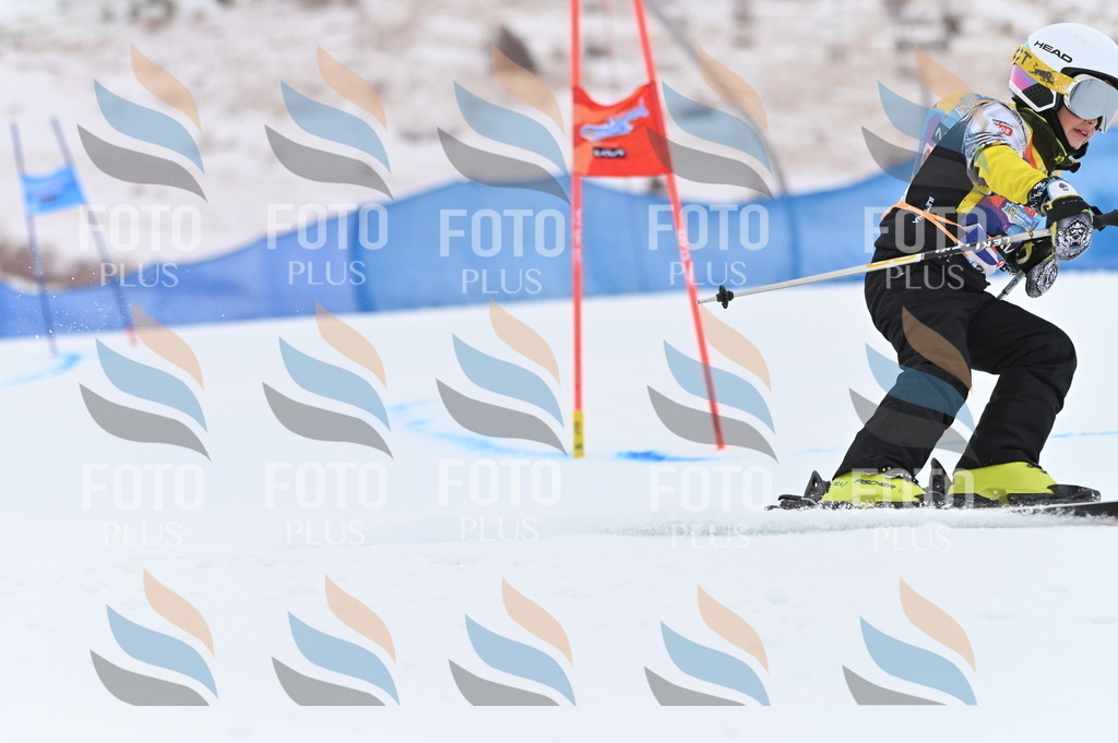 BGV_3038 | holidayphoto