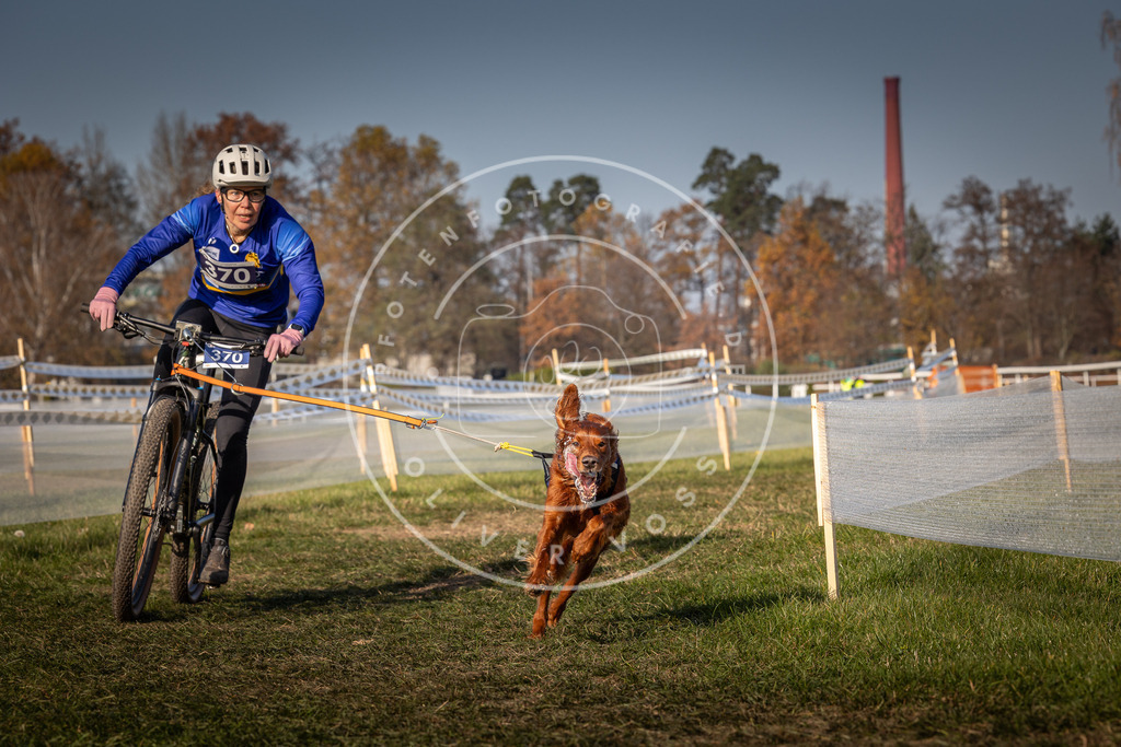 CaniXpix_0L8A7793 | Hundefotografie, Tierfotograf, Pfotenfotografie, Fotoshooting Hund, Hunde Portrait, Hundesport, Hundeportraits, Heideshooting, Hunde, Sportfotograf, Hundefotograf, Turnierhundsport, THS,  - Realisiert mit Pictrs.com