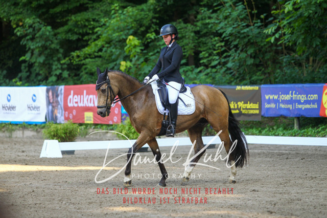 DKP42936 | Turniersportfotografie; Pferdefotografie; Dressurfotografie