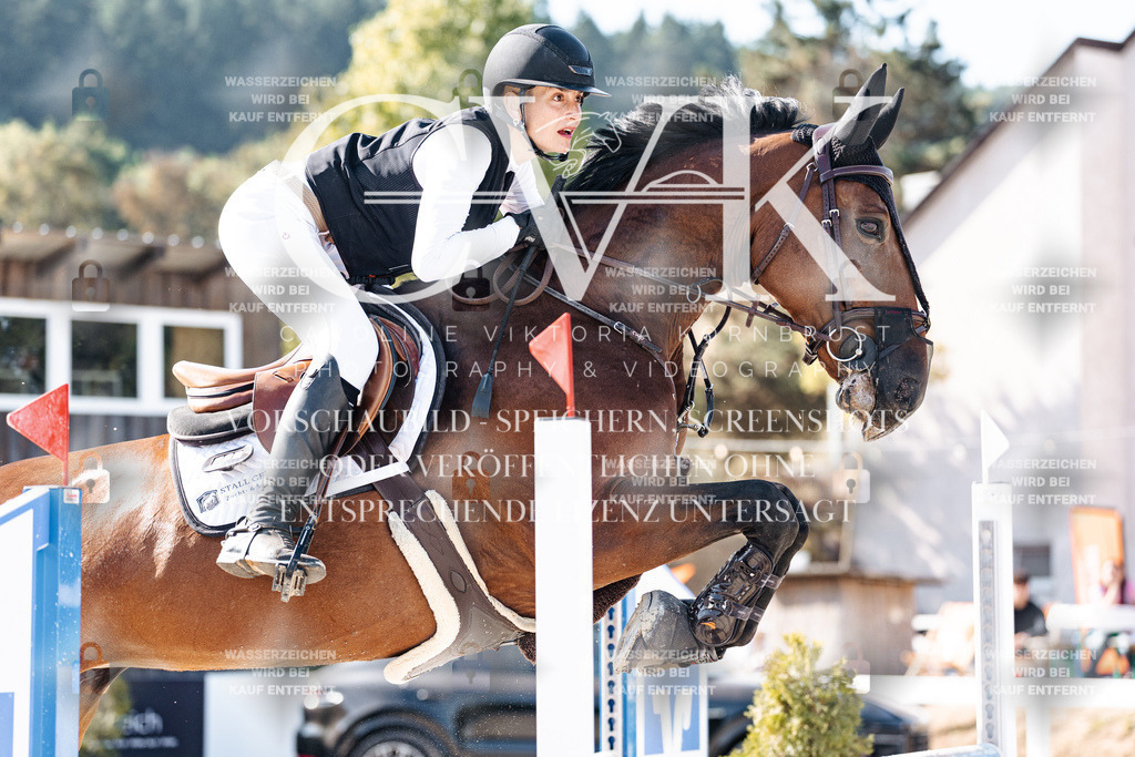 CK904856 | Turnierfotografie Pferdefotografie Trier Rheinland-Pfalz Pferdesport Reitsport Tierfotografie Sportfotografie Pferdevideo Pferdevideografie Equestrianvideography equestrianphotography  - Realisiert mit Pictrs.com