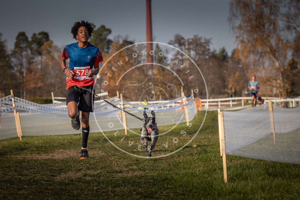 CaniXpix_0L8A9704 | Hundefotografie, Tierfotograf, Pfotenfotografie, Fotoshooting Hund, Hunde Portrait, Hundesport, Hundeportraits, Heideshooting, Hunde, Sportfotograf, Hundefotograf, Turnierhundsport, THS,  - Realisiert mit Pictrs.com