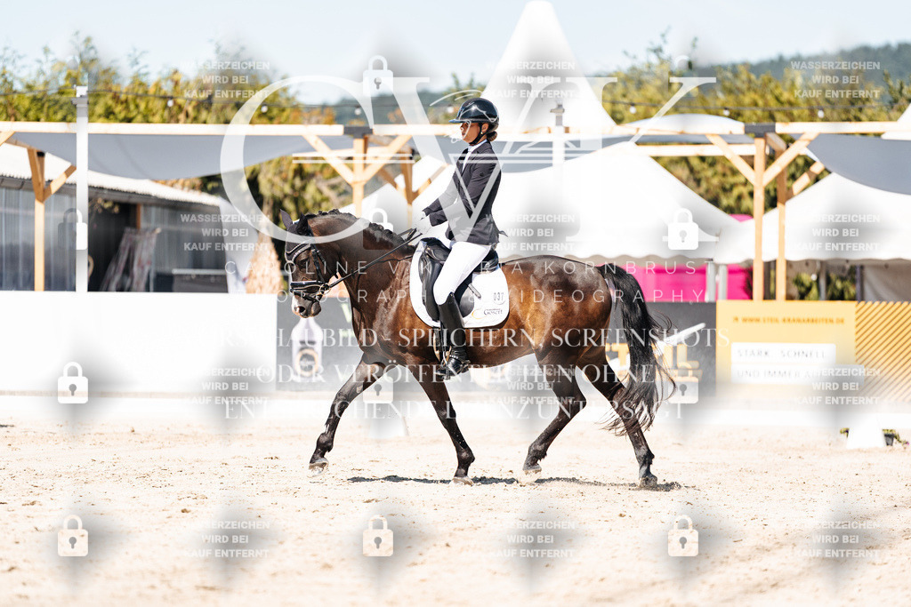 CK909642 | Turnierfotografie Pferdefotografie Trier Rheinland-Pfalz Pferdesport Reitsport Tierfotografie Sportfotografie Pferdevideo Pferdevideografie Equestrianvideography equestrianphotography  - Realisiert mit Pictrs.com