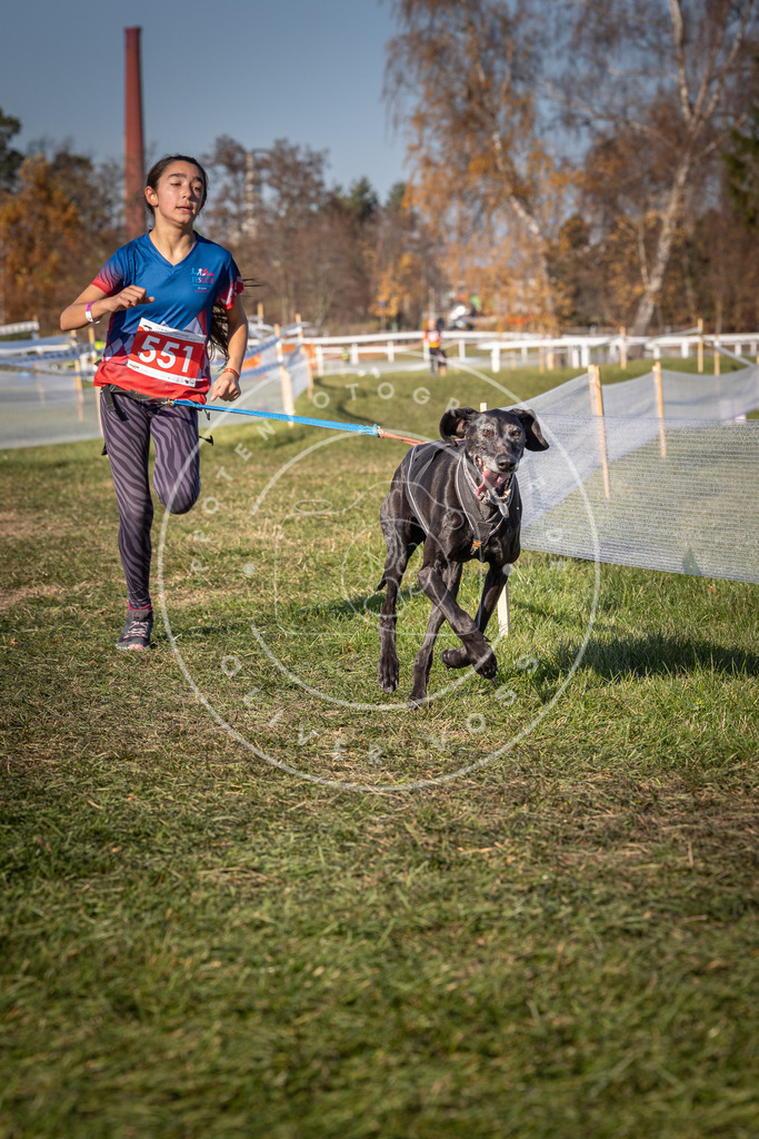 CaniXpix_0L8A7745 | Hundefotografie, Tierfotograf, Pfotenfotografie, Fotoshooting Hund, Hunde Portrait, Hundesport, Hundeportraits, Heideshooting, Hunde, Sportfotograf, Hundefotograf, Turnierhundsport, THS,  - Realisiert mit Pictrs.com