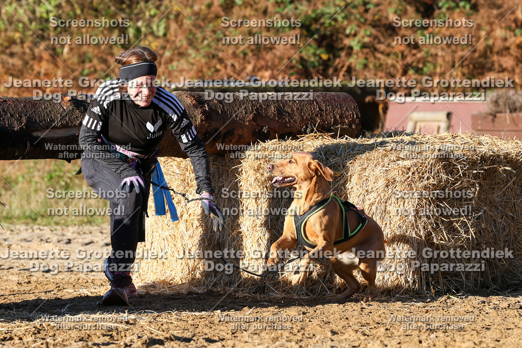 Dog Paparazzi - Strongdog 10-25-1238 | Dog Paparazzi Jeanette Grottendiek Fotografie & Videografie - Realisiert mit Pictrs.com