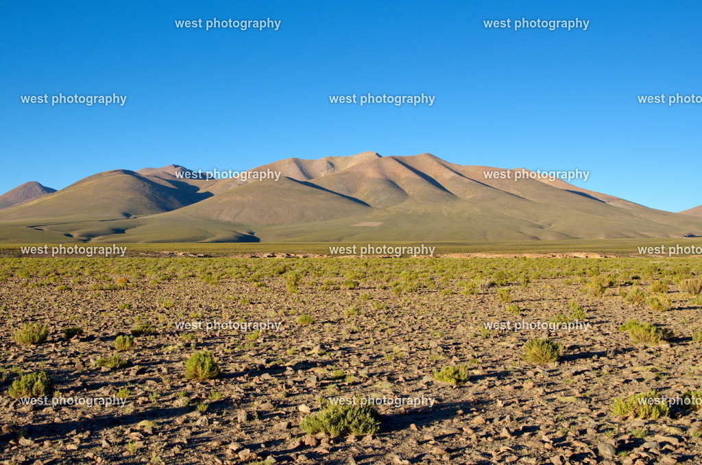 Bolivia Morning - BVN 2015 | west photography - Realisiert mit Pictrs.com