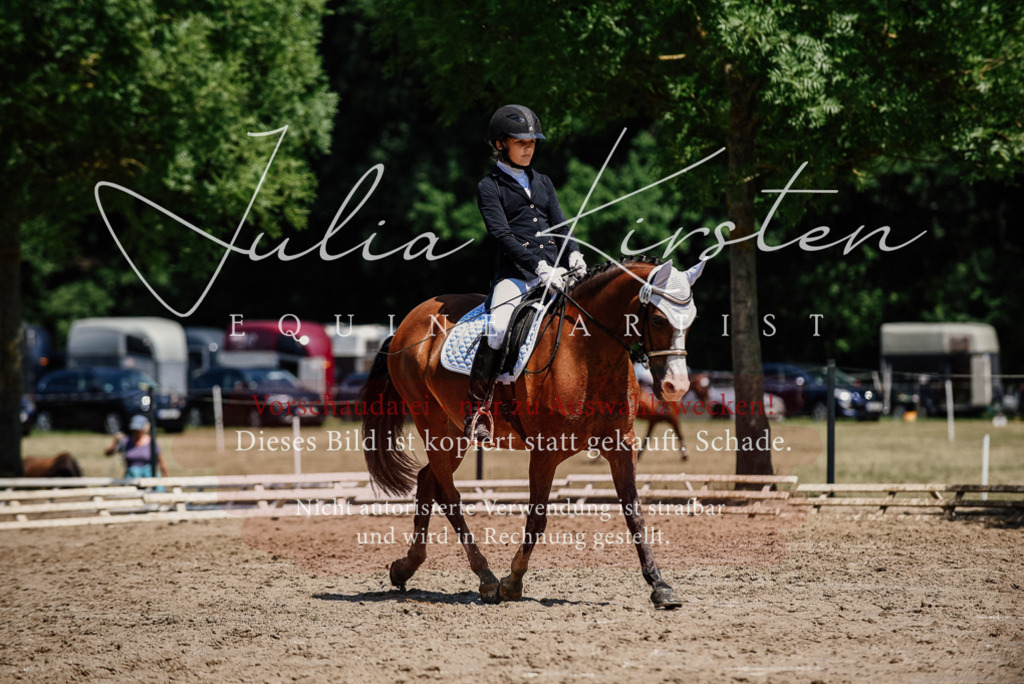 DSC_1924 | Pferde- und Turnierfotografie in Westsachsen. Pferdeportraits, Auftragszeichnungen und intuitive Kunst.
