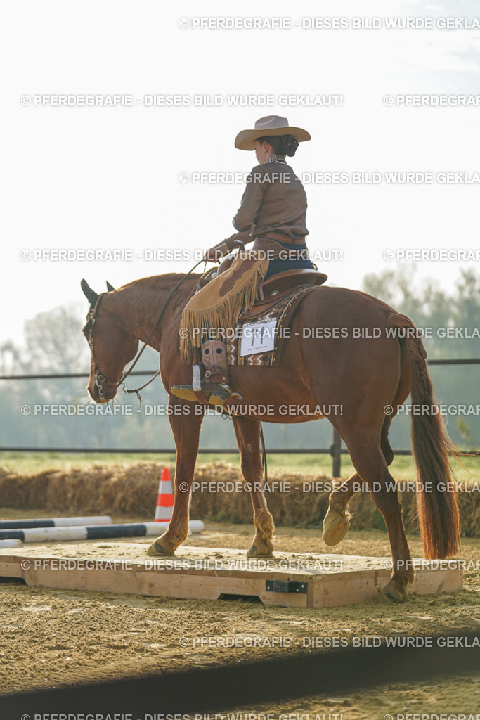 DSC09733 | Pferdegrafie