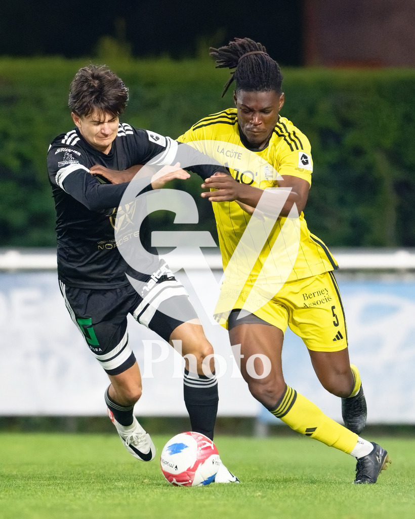 dieci Challenge League - FC Stade Nyonnais v FC Wil 1900 |  during the dieci Challenge League match between FC Stade Nyonnais and FC Wil 1900 at Centre sportif de Colovray in Nyon, Switzerland