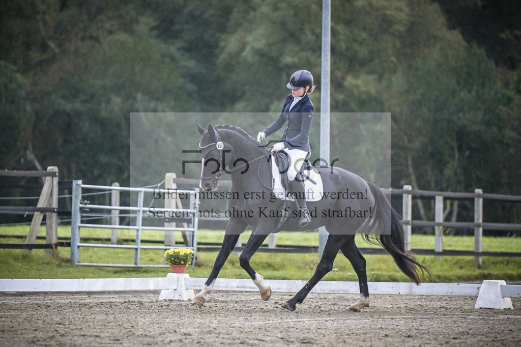 DOS_2550 | Entdecke hochwertige Reitturnierfotos von Foto Oger. Professionell, emotional und authentisch – jetzt Lieblingsmomente im Shop bestellen.Deutschlandweite Turnierfotografie. - Realisiert mit Pictrs.com
