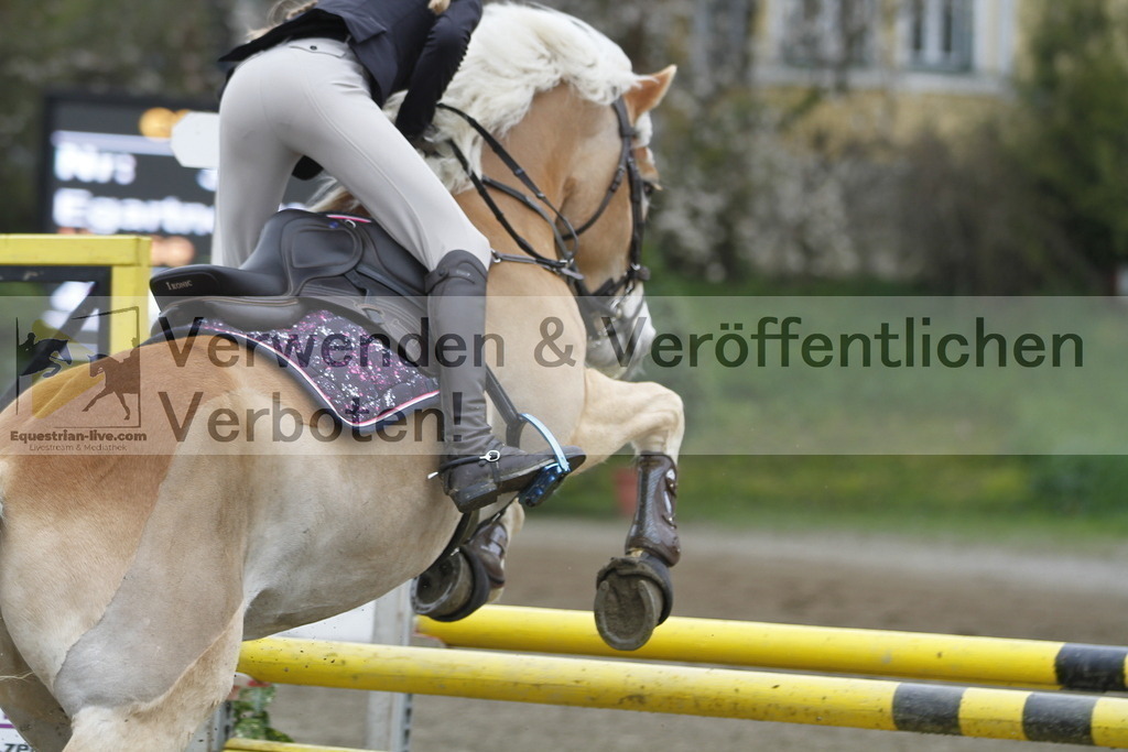_MG_4397 | equestrian-live-com