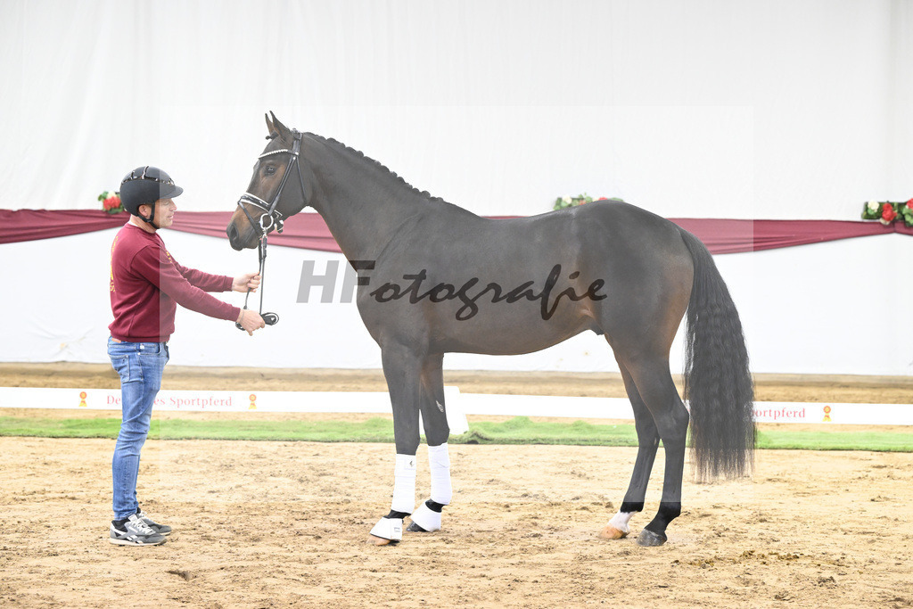 Kat-Nr. 21 St. Emilion x Quantensprung_Marianne Jerich_47250661 | hf-fotografie - Realisiert mit Pictrs.com