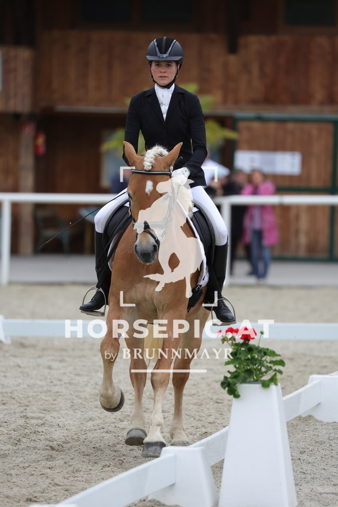 0P6A7097 | Willkommen bei Brunnmayr - Design & Fotografie – Ihrem Spezialisten für Reitturniere und Pferdeveranstaltungen in Oberösterreich, Salzburg und Bayern! Seit über 17 Jahren sind wir leidenschaftlich dabei.