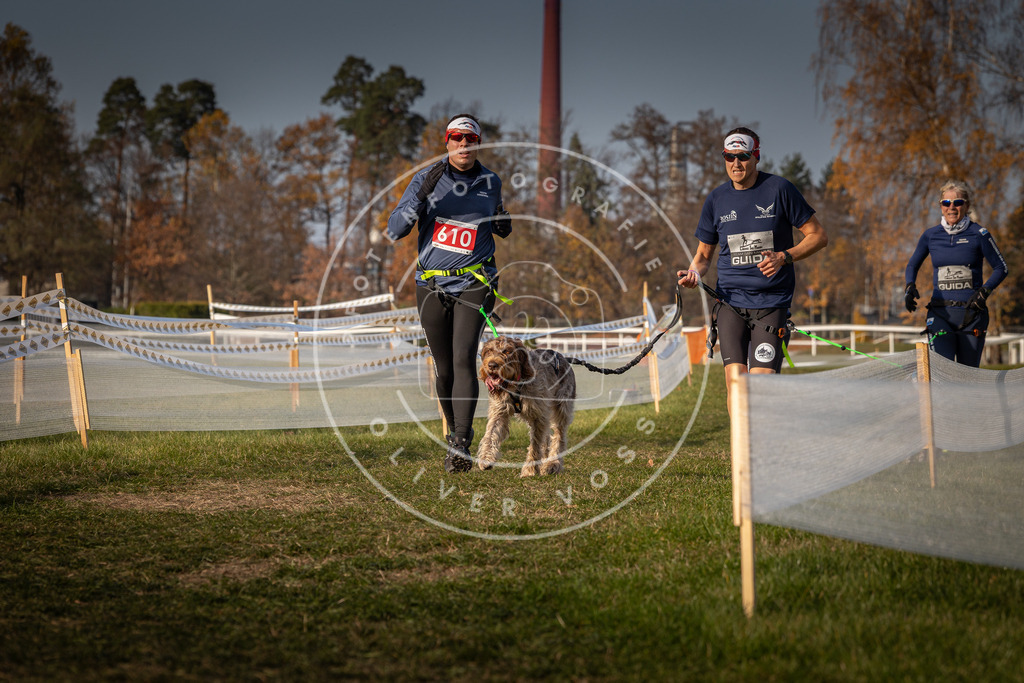 CaniXpix_0L8A0143 | Hundefotografie, Tierfotograf, Pfotenfotografie, Fotoshooting Hund, Hunde Portrait, Hundesport, Hundeportraits, Heideshooting, Hunde, Sportfotograf, Hundefotograf, Turnierhundsport, THS,  - Realisiert mit Pictrs.com