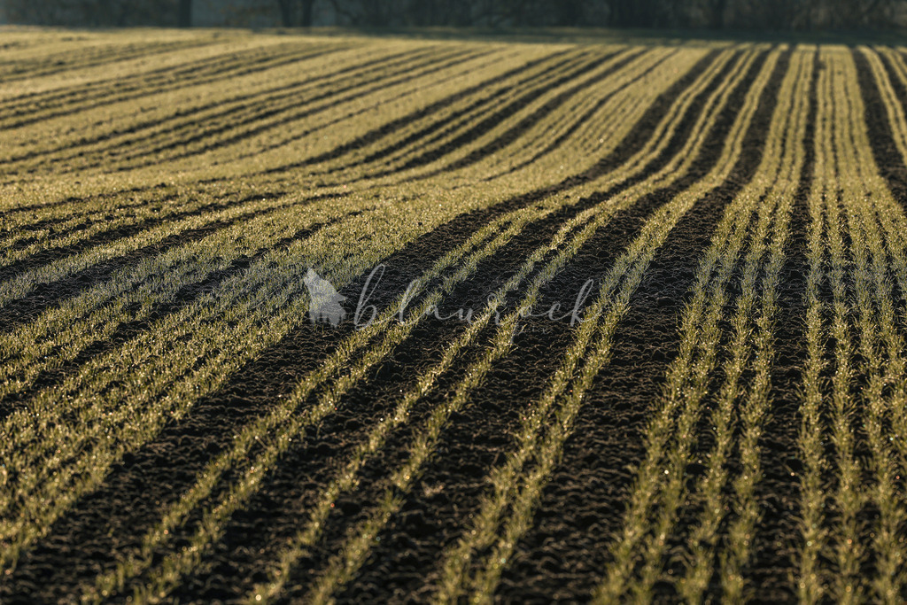 701A5265 | Sportbilder, Sportfotograf, Hochzeits- und Eventfotografin, Flugshows, Portraits und Tiershooting, Aviation, Downhill, Nationalleague, Swissleague, International