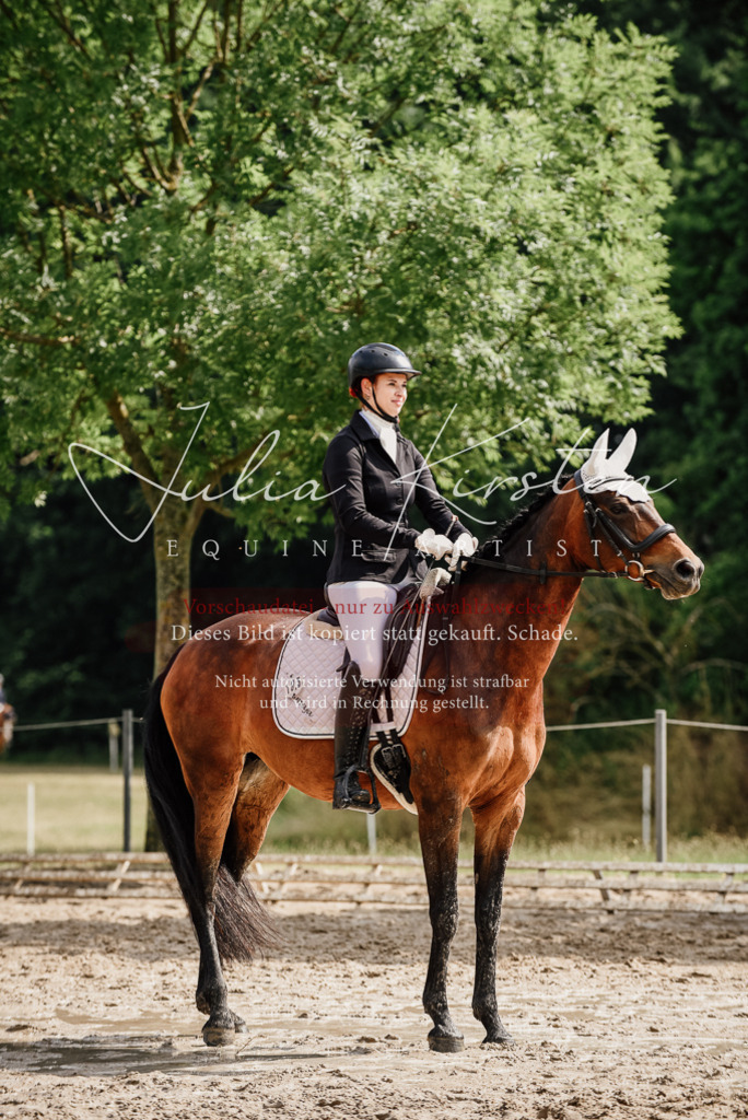 DSC_9826 | Pferde- und Turnierfotografie in Westsachsen. Pferdeportraits, Auftragszeichnungen und intuitive Kunst.