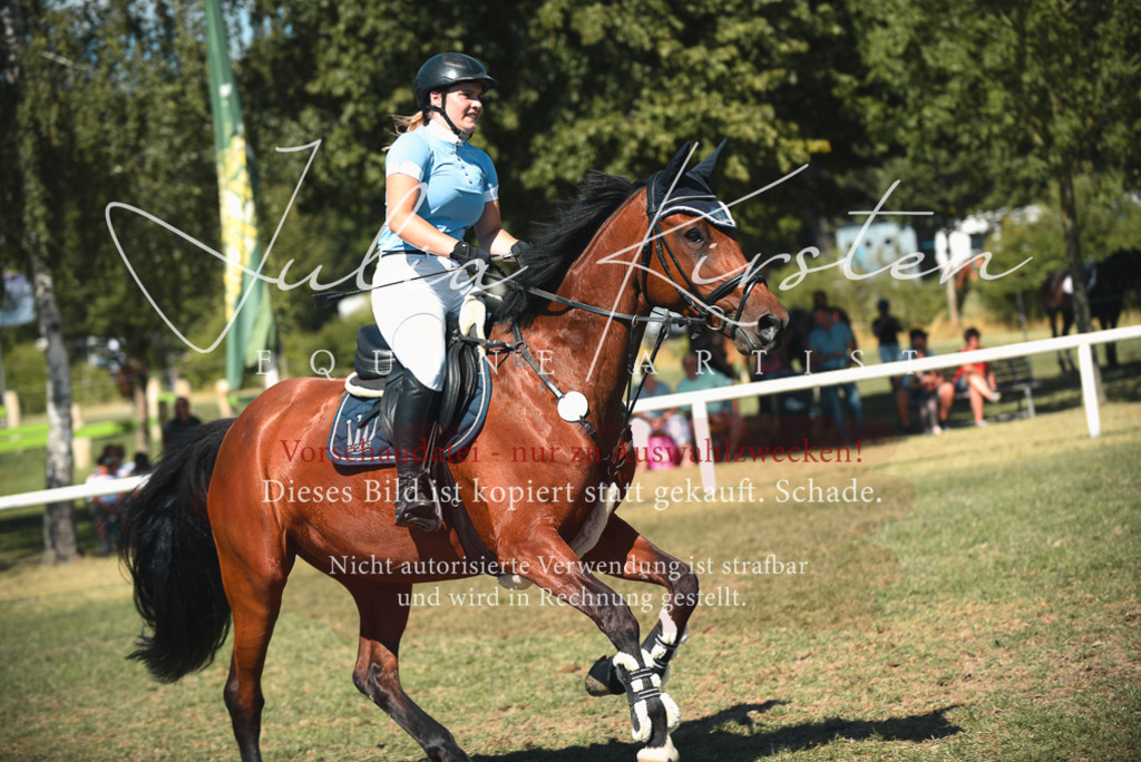 DSC_7157 | Pferde- und Turnierfotografie in Westsachsen. Pferdeportraits, Auftragszeichnungen und intuitive Kunst.