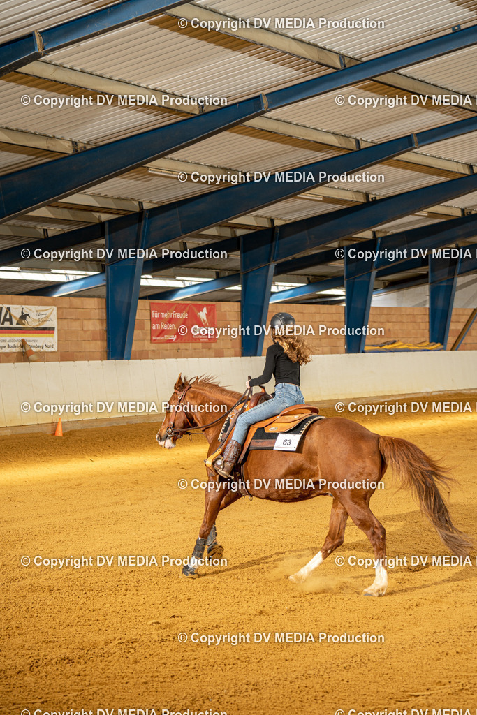 MIT00866 | dv-media-shop - Realisiert mit Pictrs.com