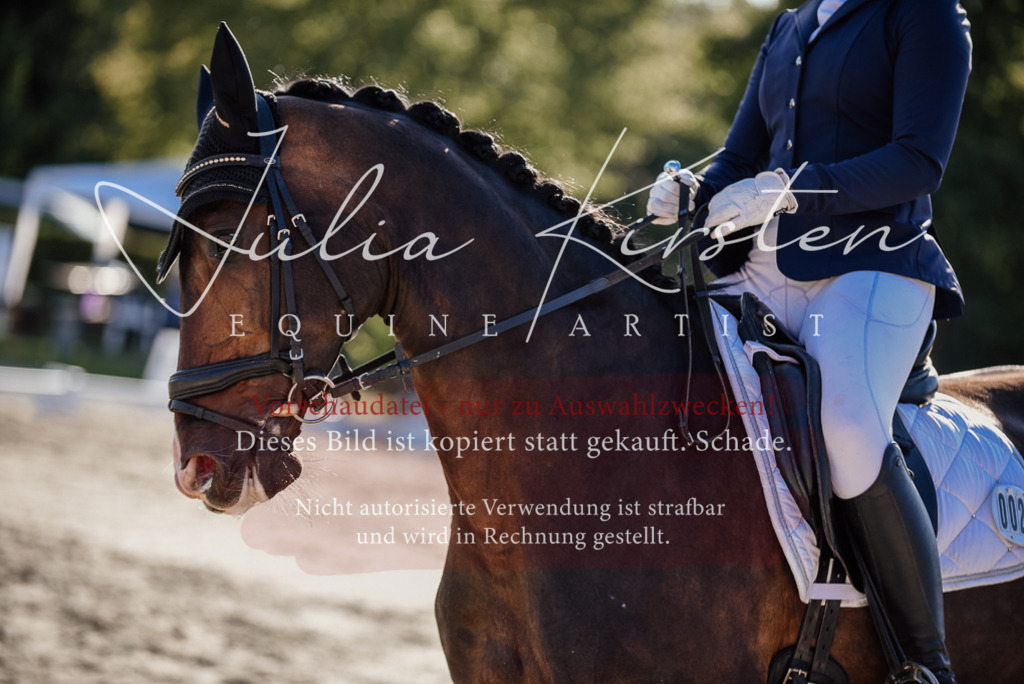 DSC_0628 | Pferde- und Turnierfotografie in Westsachsen. Pferdeportraits, Auftragszeichnungen und intuitive Kunst.
