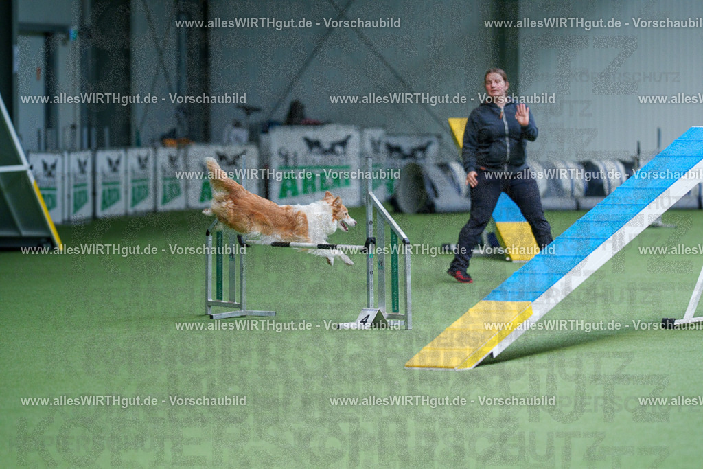@allesWIRTHgut_Tierfotografie - www.allesWIRTHgut.de - 2604260920-7R507347 | Professionelle Tierfotografie in Mönchengladbach von Daniel Wirth (allesWIRTHgut). Liebevolle & natürliche Bilder von Hunden & Katzen für unvergessliche Erinnerungen.