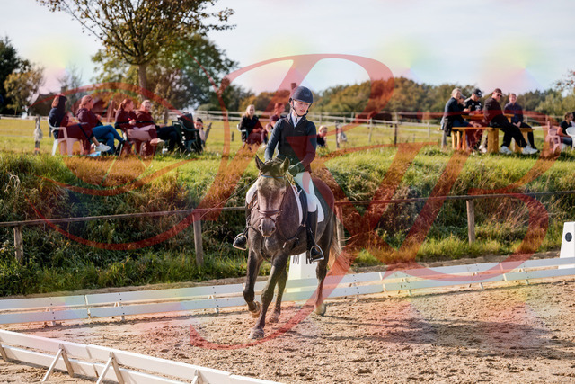2026_10_03_Siefer-Hof_120149_Z63_34435699 | Professionelle Reitsport-, Turnier- und Eventfotografie von Robert Broda. Galerien mit ausgewählten und bearbeiteten Bildern direkt online ansehen und bestellen.