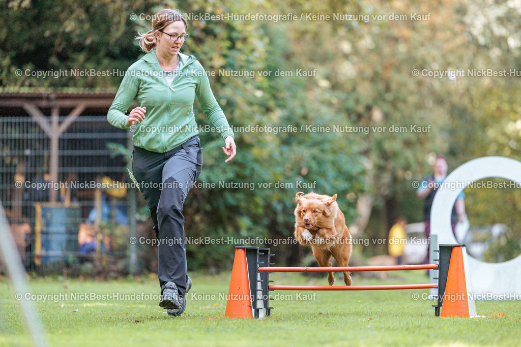 THS-HSV-Blumenthal-2026-Nickbest-Hundefotografie-1330 | Dein Hund! Dein Moment! Deine Erinnerungen! Hundefotografie in Bremen Blumenthal. Ich fange die besonderen Momente deines Vierbeiners ein – ob Indoor mit Blitzanlage oder in der freien Natur. Sicher dir dein Moment und dein Termin für eure Erinnerungen.
