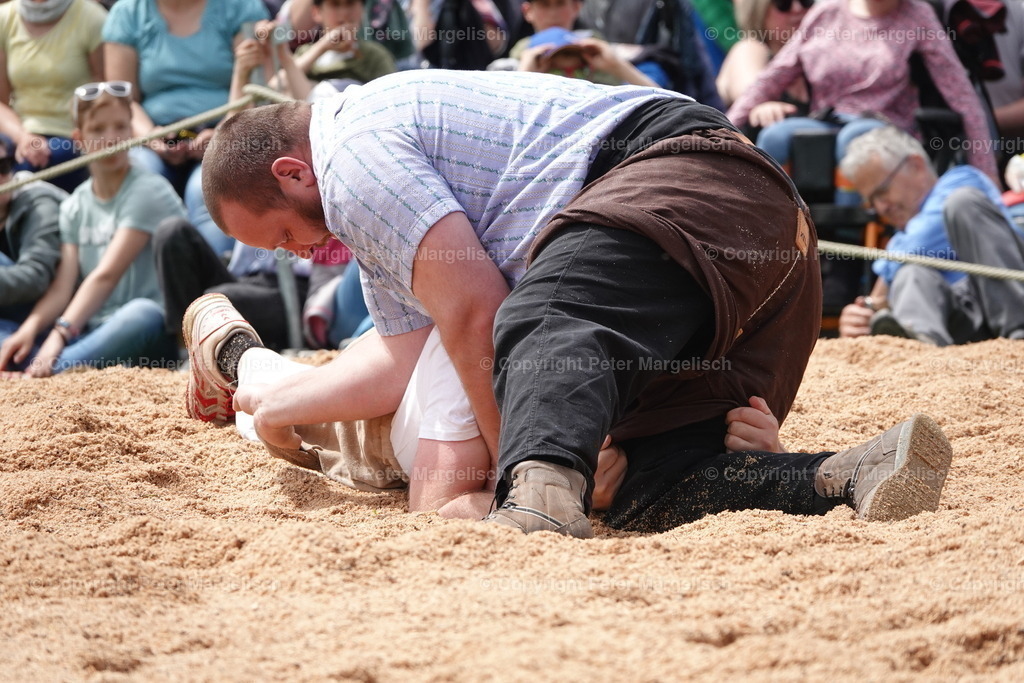 DSC04128 | Schwingen - Realisiert mit Pictrs.com