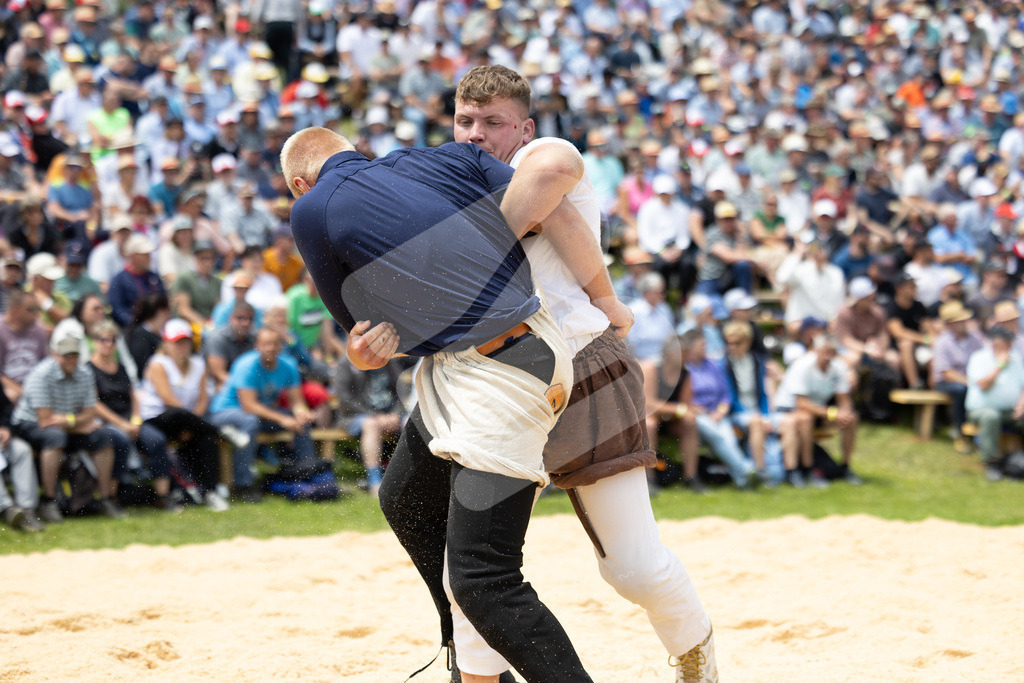 Rigi2025_1934 | Die Schwinger des Schwyzer Kantonalen Schwingerverbandes: Fotos, die Dynamik und Leidenschaft festhalten, sowie emotionale Momente aus dem traditionellen Schwingsport zeigen. - Realisiert mit Pictrs.com
