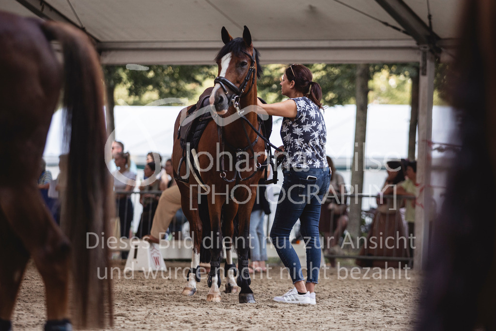 240829_TdS_PonyTrophy-106 | Deine schönsten Turniermomente als professionelle Fotos! Entdecke hochwertige Pferdesport-Fotografie im Online-Shop. Jetzt Fotos finden & bestellen!