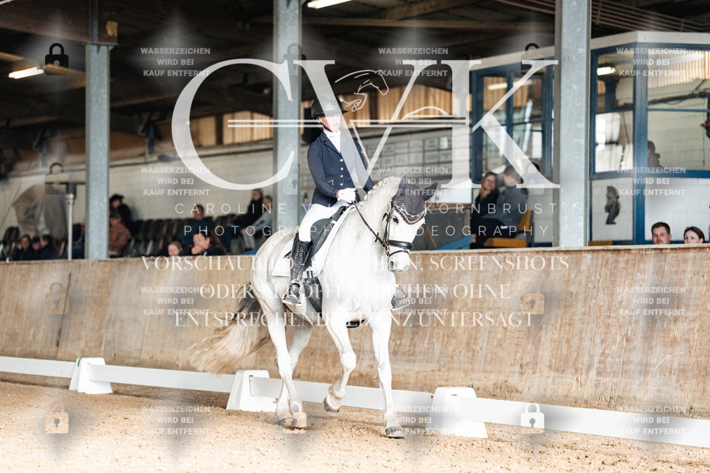 CK902582 | Turnierfotografie Pferdefotografie Trier Rheinland-Pfalz Pferdesport Reitsport Tierfotografie Sportfotografie Pferdevideo Pferdevideografie Equestrianvideography equestrianphotography  - Realisiert mit Pictrs.com