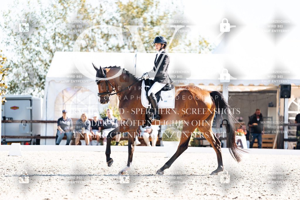 CK908639 | Turnierfotografie Pferdefotografie Trier Rheinland-Pfalz Pferdesport Reitsport Tierfotografie Sportfotografie Pferdevideo Pferdevideografie Equestrianvideography equestrianphotography  - Realisiert mit Pictrs.com