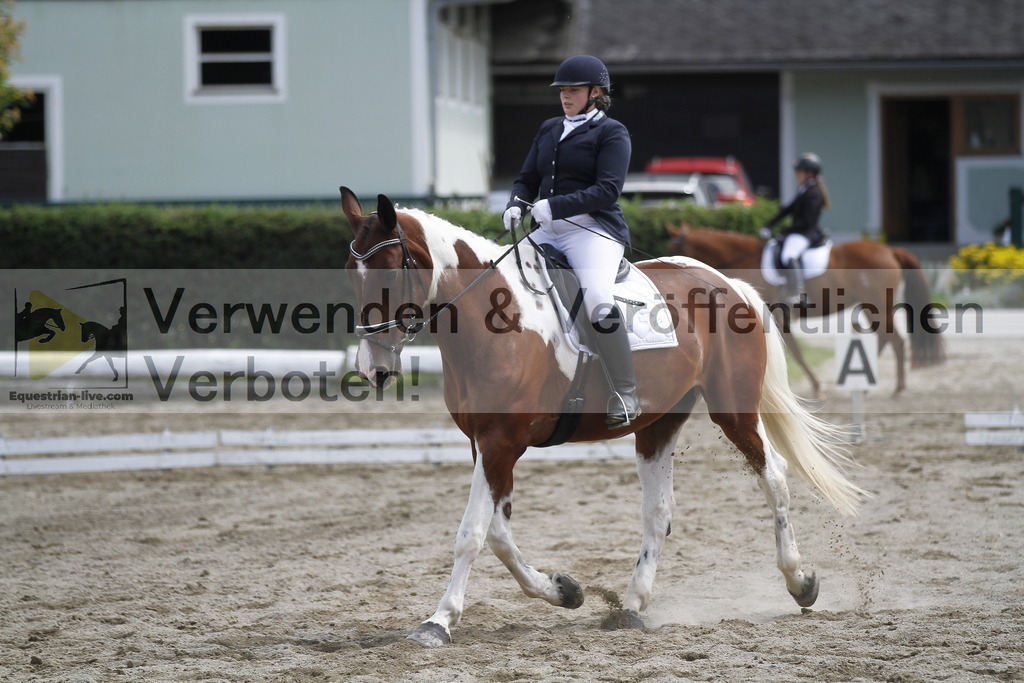 _MG_1196 | equestrian-live-com
