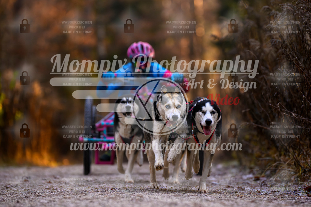 MompixPhotography_DM_AKDM_SO_2025_Wagen-56 | PayLife