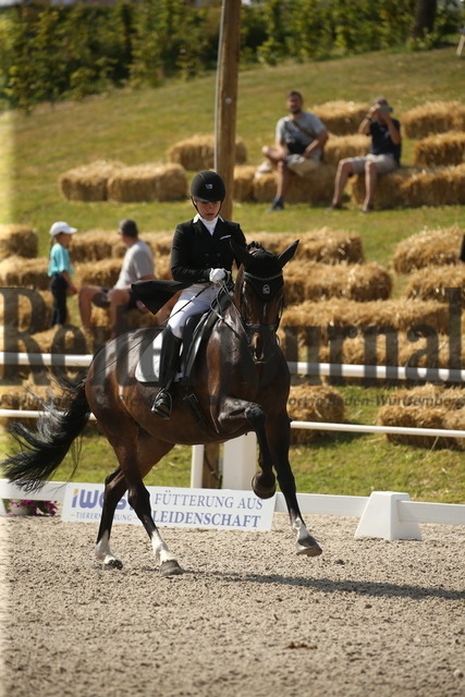 Birkhof_2022_GrandPrixSpecial_Franziska Stieglmaier_DSP Dauphin (6) | Alle Fotos der Reiterjournal Fotografin Doris Matthaes im Reiterjournal Online-Fotoshop. - Realisiert mit Pictrs.com