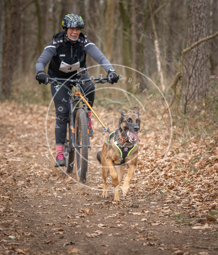 Pfotenfotografie_DV3A6370 | Hundefotografie, Tierfotograf, Pfotenfotografie, Fotoshooting Hund, Hunde Portrait, Hundesport, Hundeportraits, Heideshooting, Hunde, Sportfotograf, Hundefotograf, Turnierhundsport, THS,  - Realisiert mit Pictrs.com